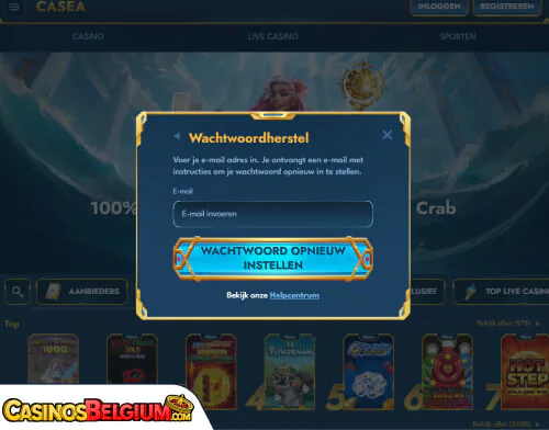 Casea Casino Problemen met inloggen