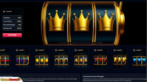 TheSlotz Casino vip-programma